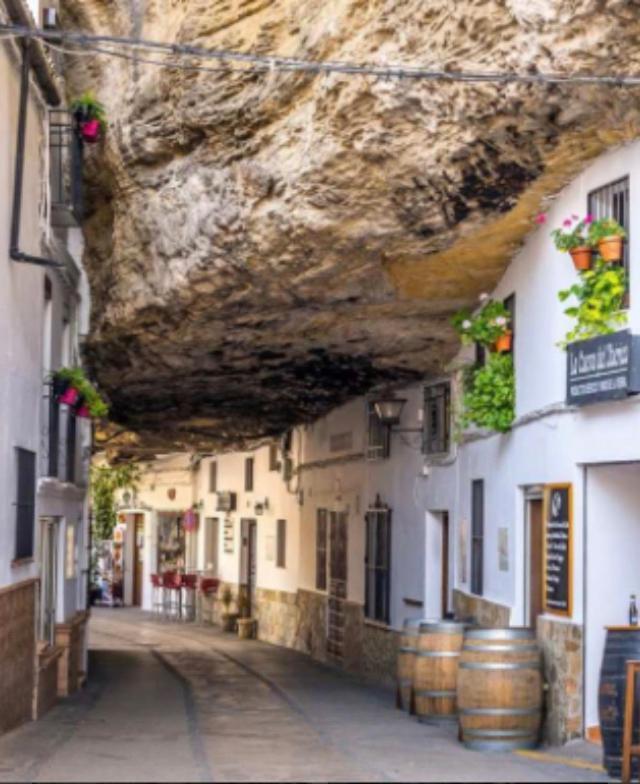 Moreno Setenil De Las Bodegas